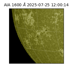 saia - 2025-07-25T12:00:14.125000