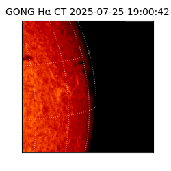 gong - 2025-07-25T19:00:42