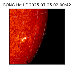gong - 2025-07-25T02:00:42