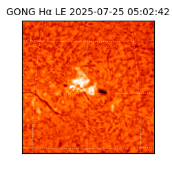 gong - 2025-07-25T05:02:42