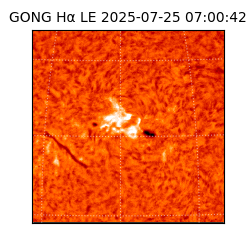 gong - 2025-07-25T07:00:42