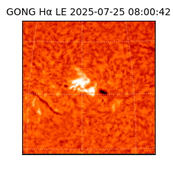 gong - 2025-07-25T08:00:42