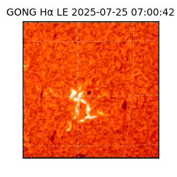 gong - 2025-07-25T07:00:42