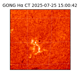 gong - 2025-07-25T15:00:42
