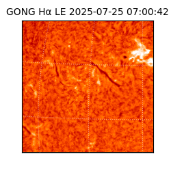 gong - 2025-07-25T07:00:42