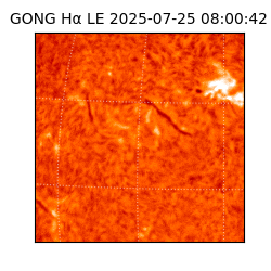 gong - 2025-07-25T08:00:42