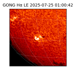 gong - 2025-07-25T01:00:42