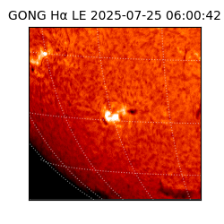 gong - 2025-07-25T06:00:42