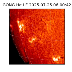 gong - 2025-07-25T06:00:42