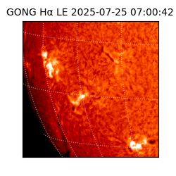 gong - 2025-07-25T07:00:42