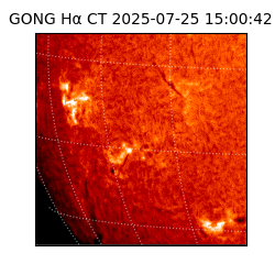 gong - 2025-07-25T15:00:42