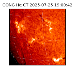 gong - 2025-07-25T19:00:42