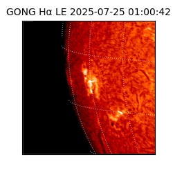 gong - 2025-07-25T01:00:42