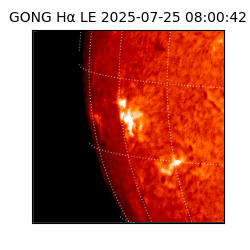 gong - 2025-07-25T08:00:42