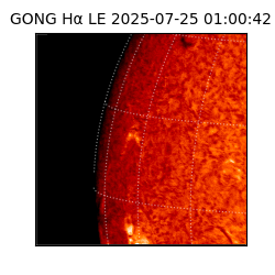 gong - 2025-07-25T01:00:42