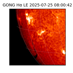 gong - 2025-07-25T08:00:42