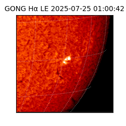 gong - 2025-07-25T01:00:42