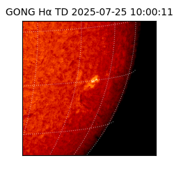 gong - 2025-07-25T10:00:11