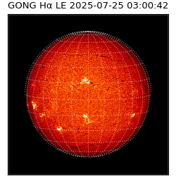 gong - 2025-07-25T03:00:42