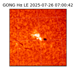 gong - 2025-07-26T07:00:42