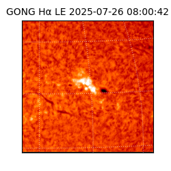 gong - 2025-07-26T08:00:42