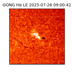 gong - 2025-07-26T09:00:42
