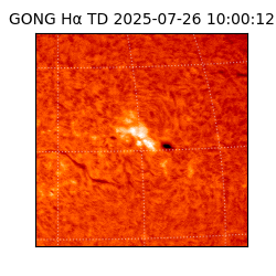 gong - 2025-07-26T10:00:12