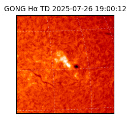 gong - 2025-07-26T19:00:12