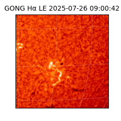 gong - 2025-07-26T09:00:42
