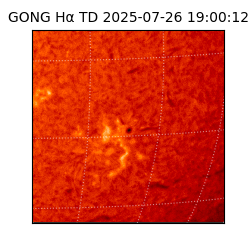 gong - 2025-07-26T19:00:12
