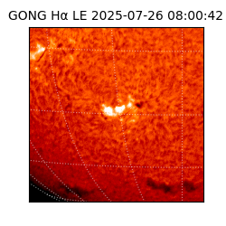 gong - 2025-07-26T08:00:42