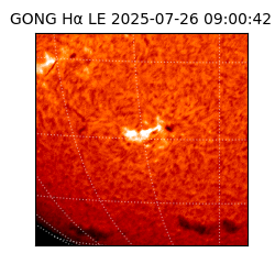 gong - 2025-07-26T09:00:42