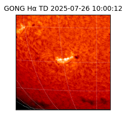 gong - 2025-07-26T10:00:12