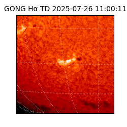 gong - 2025-07-26T11:00:11