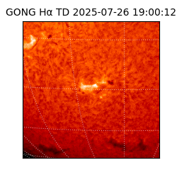 gong - 2025-07-26T19:00:12