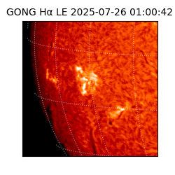 gong - 2025-07-26T01:00:42