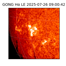 gong - 2025-07-26T09:00:42