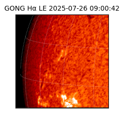 gong - 2025-07-26T09:00:42