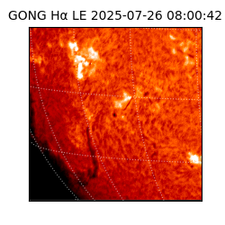gong - 2025-07-26T08:00:42
