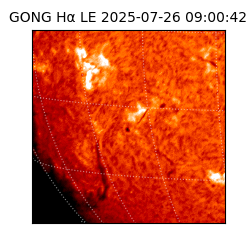 gong - 2025-07-26T09:00:42