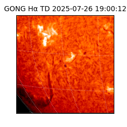 gong - 2025-07-26T19:00:12