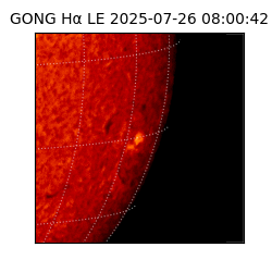 gong - 2025-07-26T08:00:42