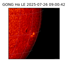 gong - 2025-07-26T09:00:42