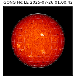 gong - 2025-07-26T01:00:42