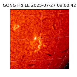 gong - 2025-07-27T09:00:42