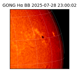 gong - 2025-07-28T23:00:02