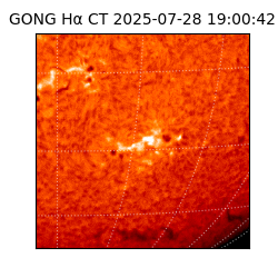 gong - 2025-07-28T19:00:42