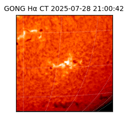 gong - 2025-07-28T21:00:42
