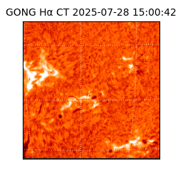 gong - 2025-07-28T15:00:42