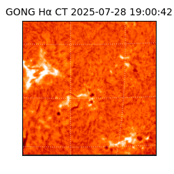 gong - 2025-07-28T19:00:42